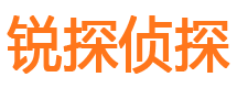 桑日外遇出轨调查取证